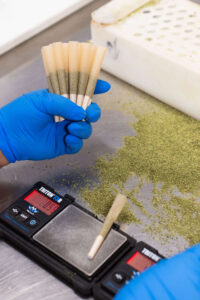 New cannabis brand launching a product line in California with compliant packaging and manufacturing
