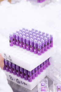Outsource vape cart filling production line at a licensed California cannabis facility