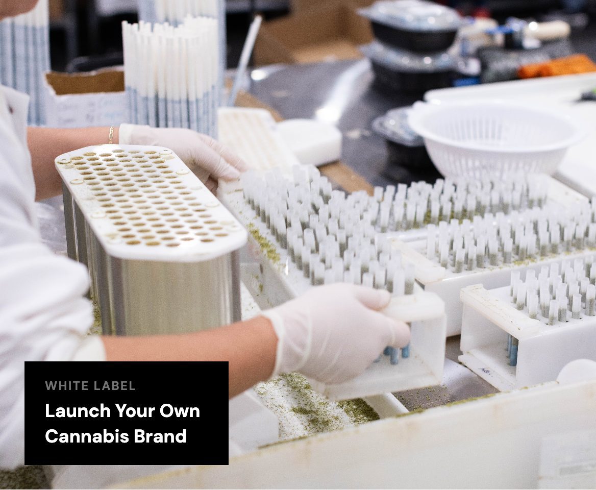 Cannabis products manufactured and packaged for retail