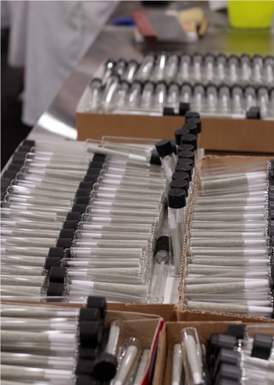 California-licensed cannabis manufacturing facility