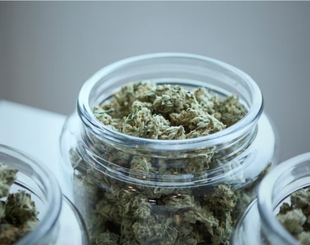 California-licensed cannabis manufacturing facility