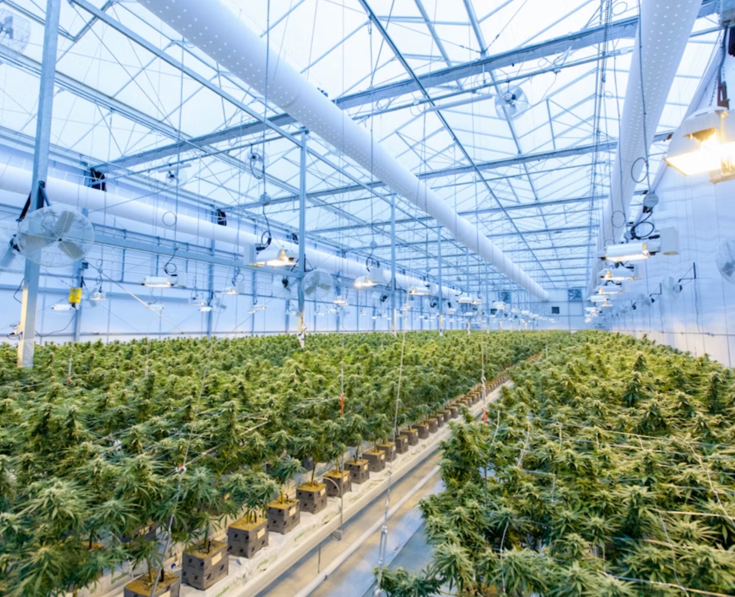 California-licensed cannabis manufacturing facility