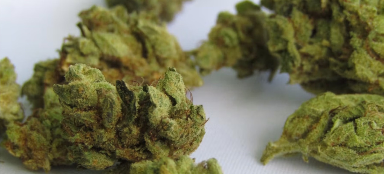 California-licensed cannabis manufacturing facility