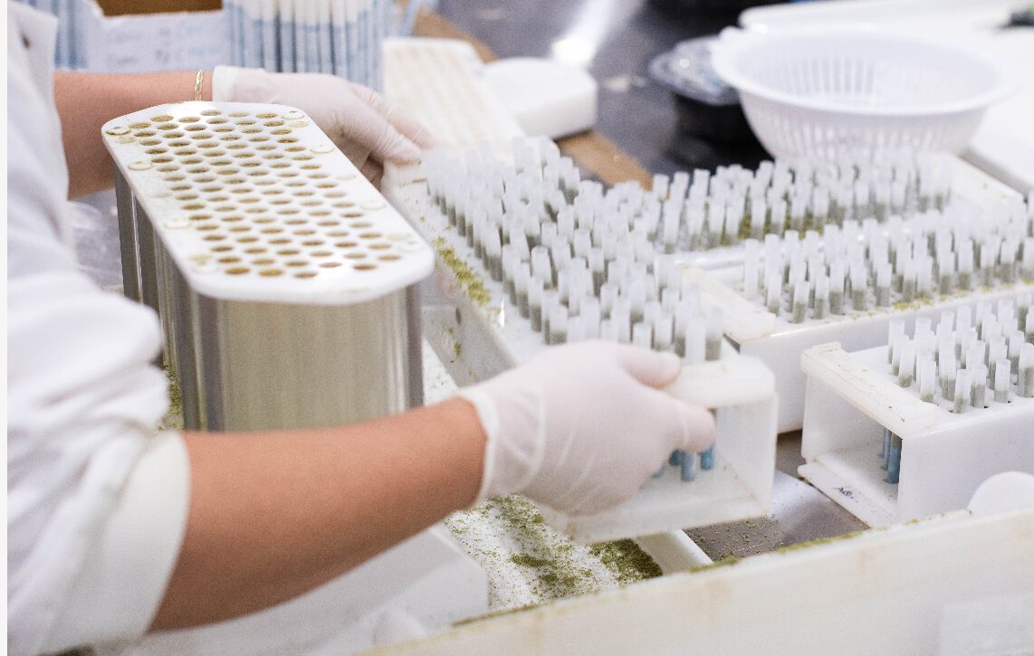 Cannabis products manufactured and packaged for retail